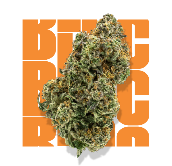 A dried cannabis flower in front of a repeating bloc logo background